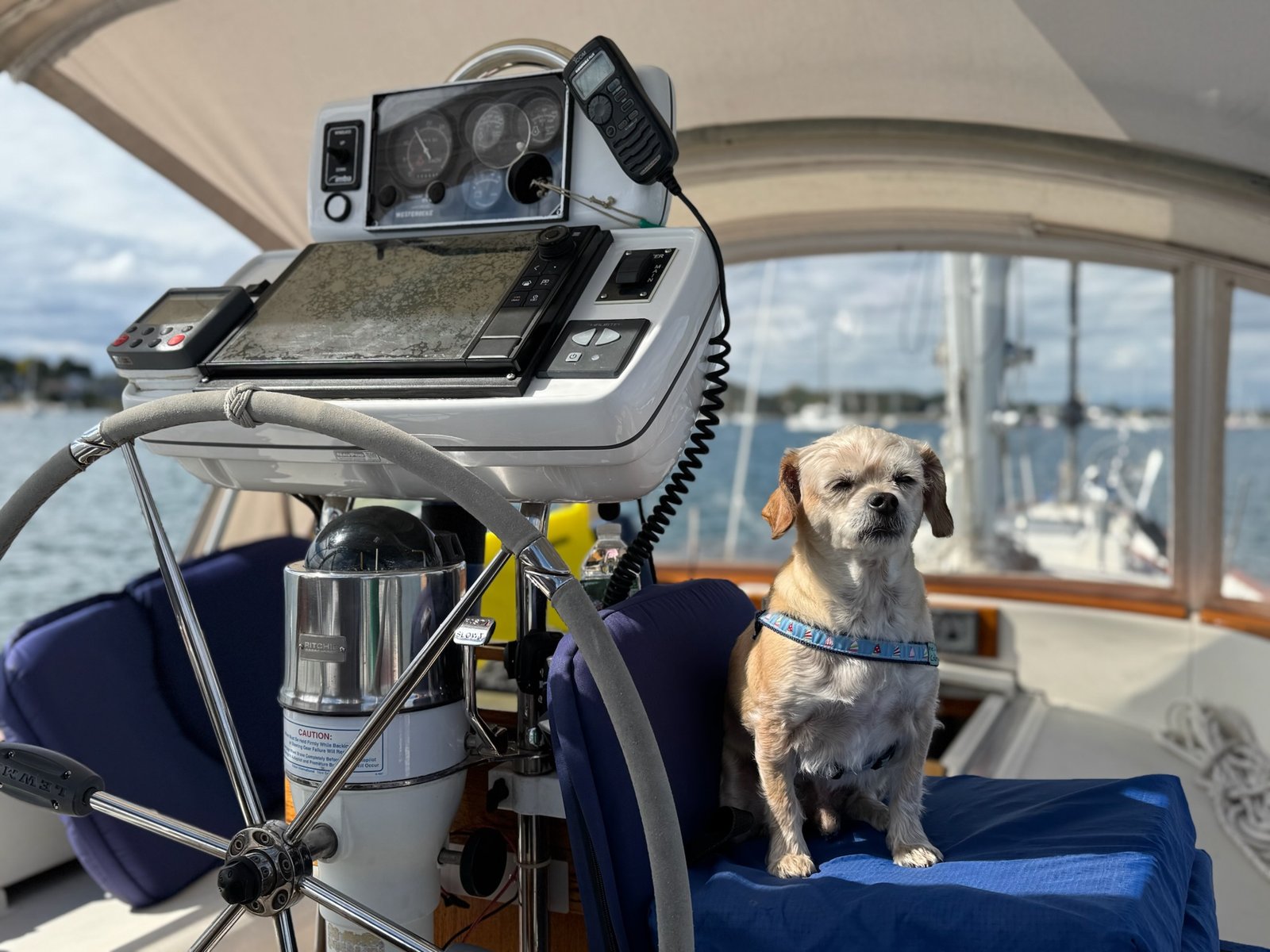 Captain Benji at he wheel of the sailboat on a day sail in Martha's Vineyard